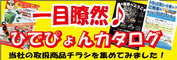 ひでぴょんのチラシを集めてみました。